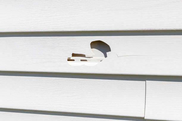 Best Aluminum Siding Installation  in Yucos, CA
